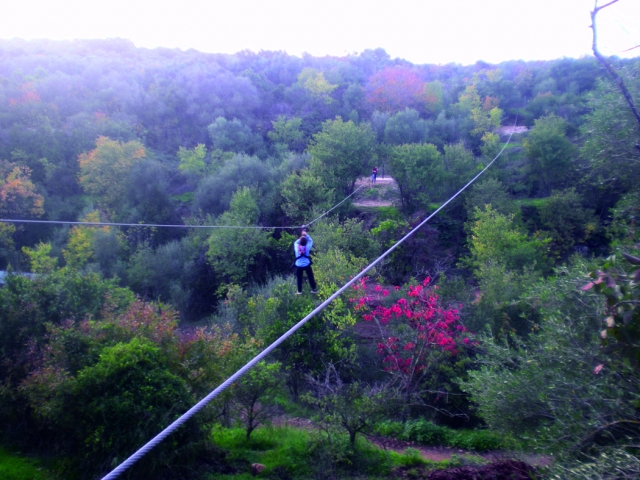  On the zip line over the trees 