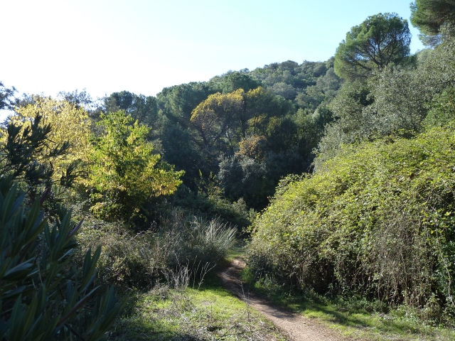  Natur genießen 
