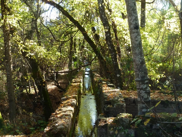  Kanalisiertes Wasser 