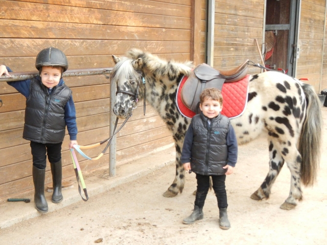  Mit dem gefleckten Pony 