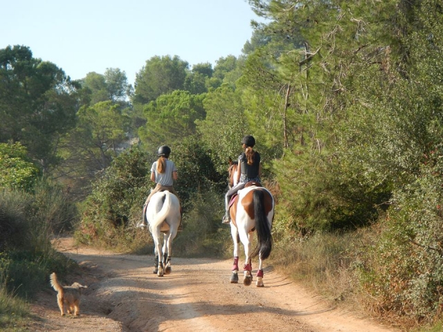  Reitrouten 