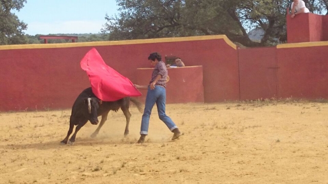  Bullfighting 