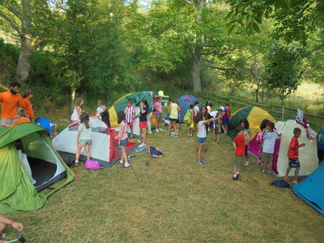 Día de acampada
