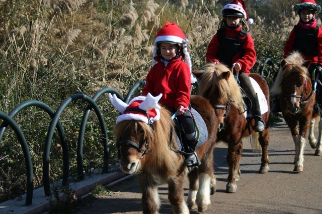 Paseo en poni en Navidad