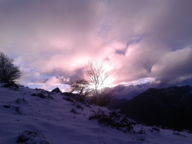  Verschneite Landschaft 