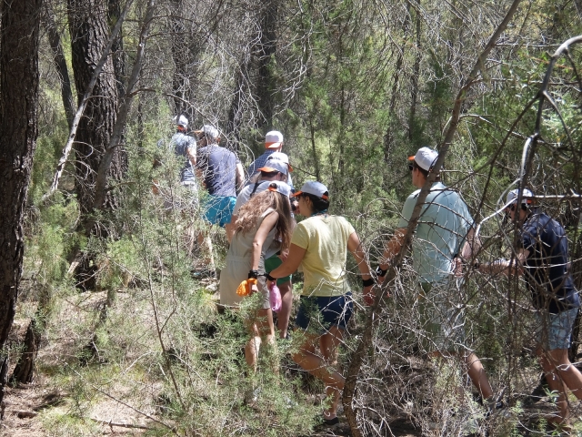 Buscando pruebas en el bosque