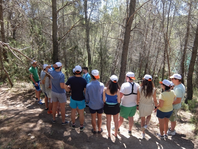 Explicando la actividad en el bosque