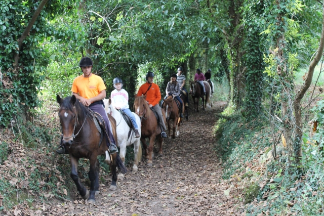 Sendero a caballo