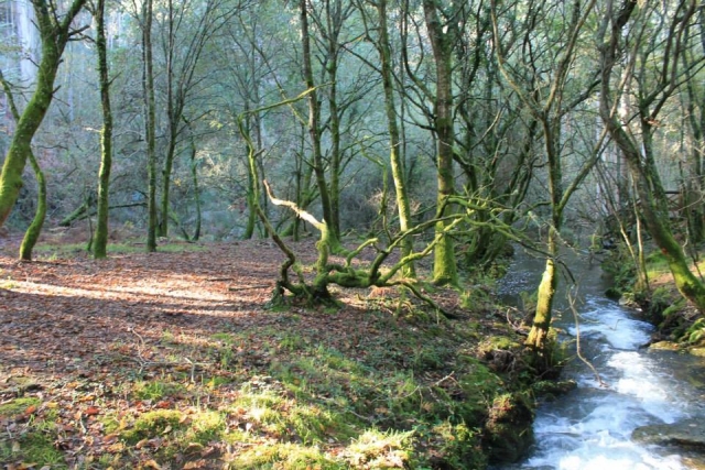 Paseando a caballo por senderos unicos