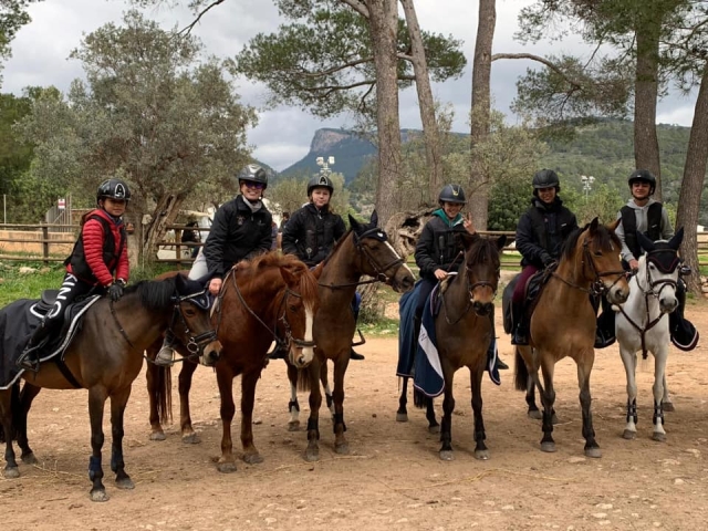  Percorso con pony e cavalli attraverso la campagna 