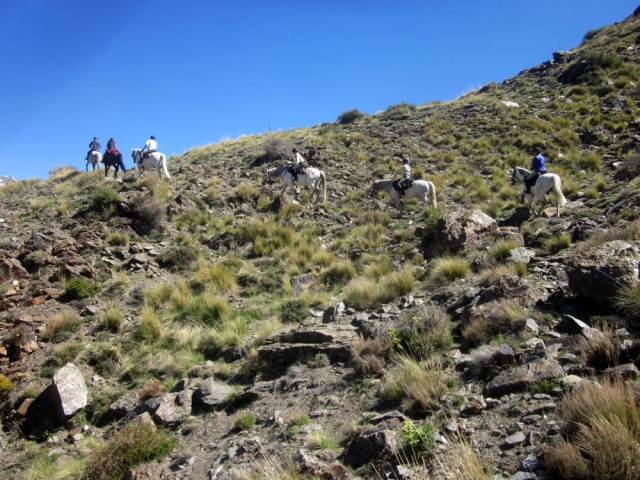 Sulayr