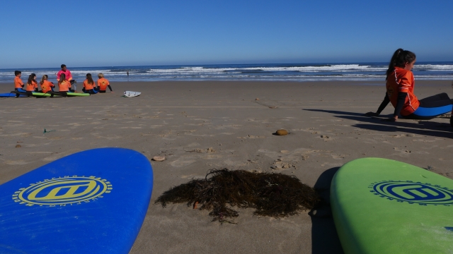 Surfbretter am Strand 