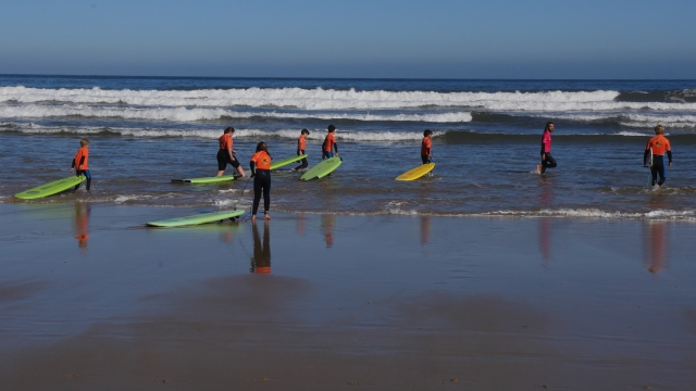  Am Meeresufer im Surfkurs 