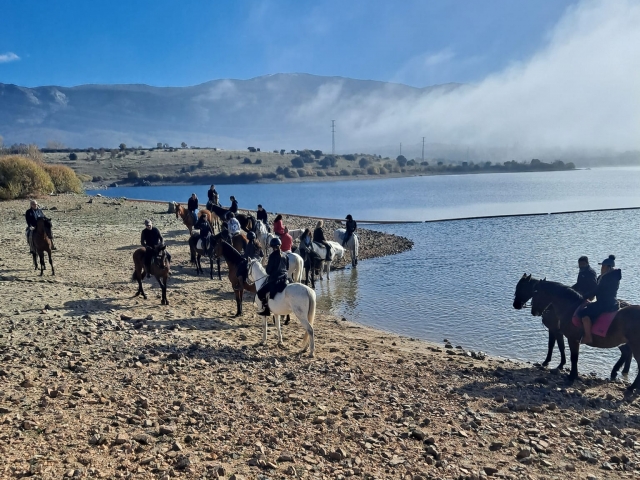 Caballos en Segovia