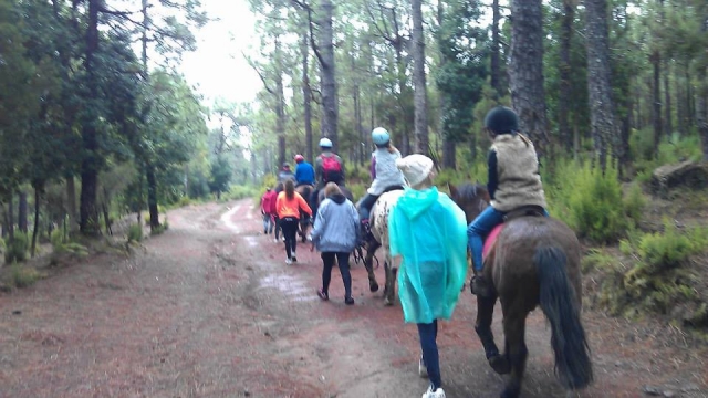 Junto a los caballos