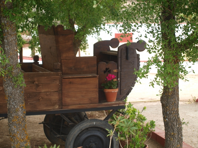 Carro de madera bajo arboles