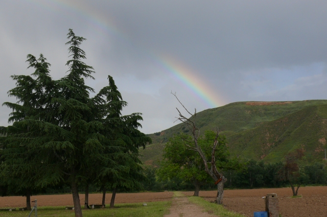 农场彩虹 