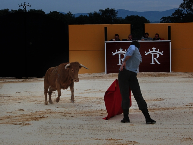 Toreando