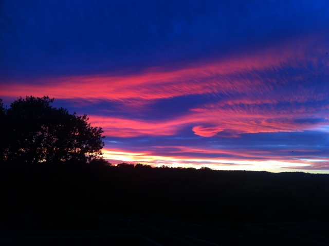 atardecer en nuestra dehesa