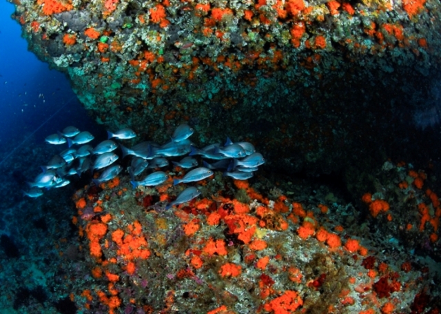  Depths 