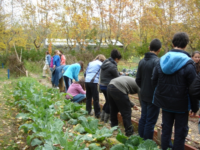 Alumnos de la granja escuela