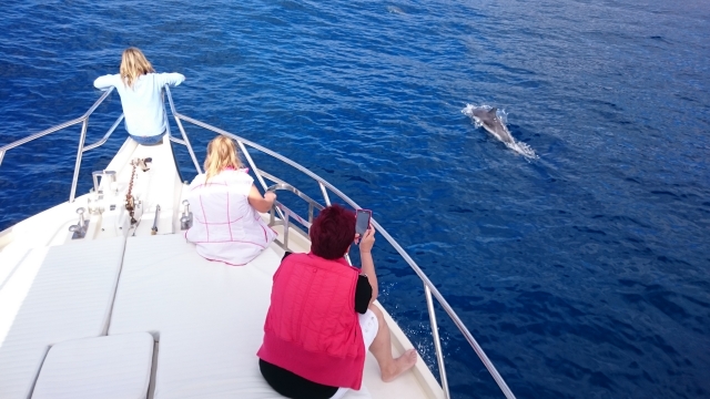  Osservandolo in acqua 