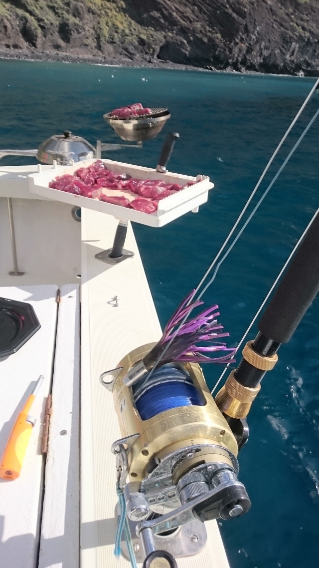  Preparati per la pesca 