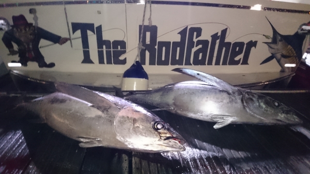  In davanti alla nave 