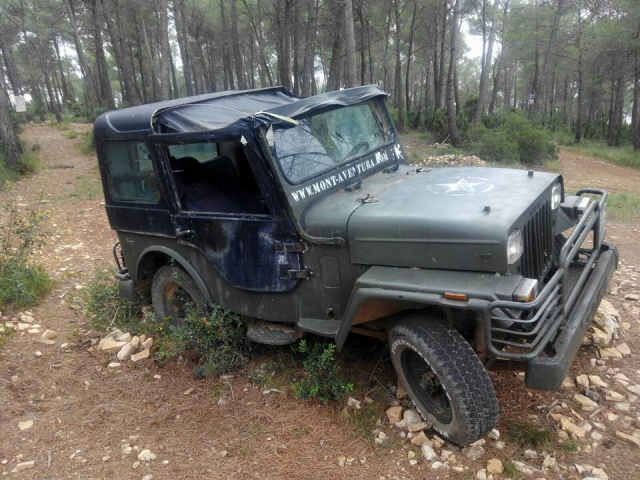  Abandoned combat vehicle 
