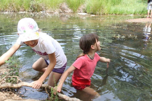1424401-633439513384088-1277274432-n-las-nogueras-campamentos-multiaventura.jpg