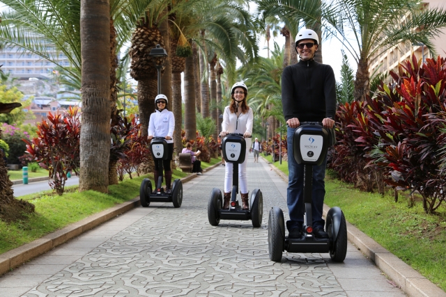 Paseo de las Palmeras