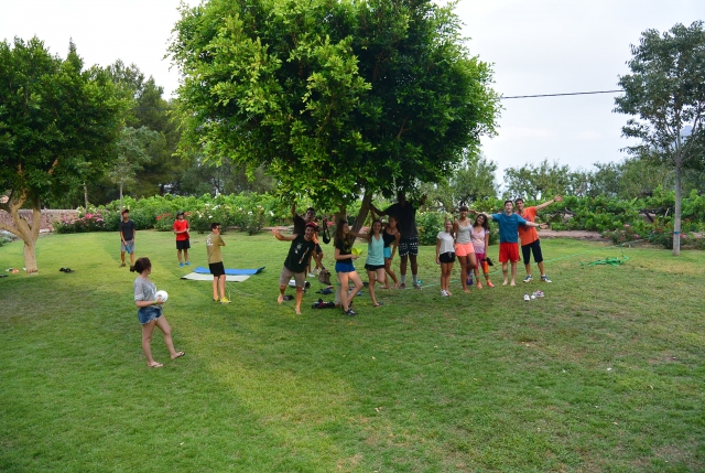 Actividades