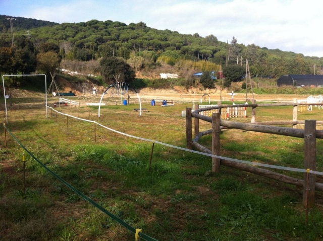  horse circuits 