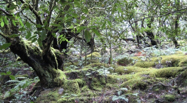  observation du paysage 