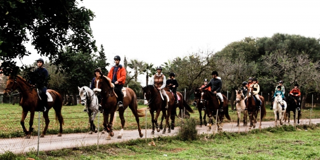 nivel de iniciacion a caballo