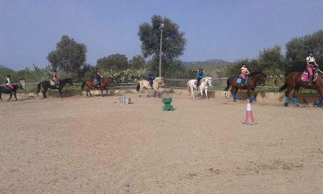 aprendiendo a subir a caballo