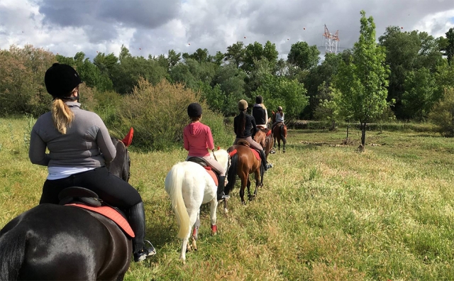 Campamento hípico con excursiones en Madrid