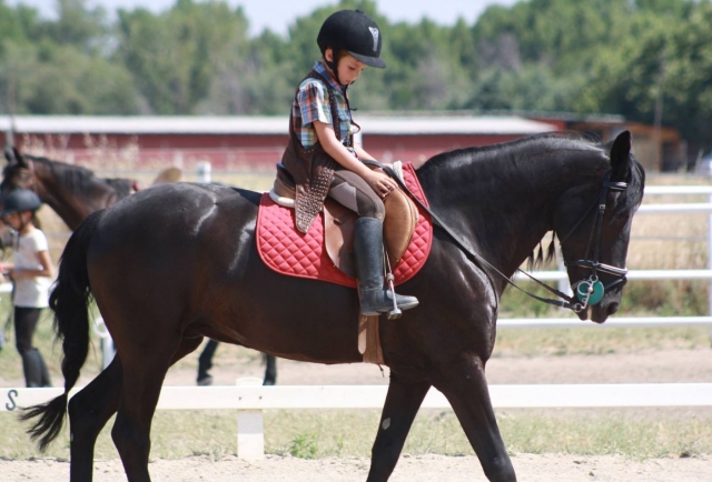 Disfrutando de un día de campamento de hípica