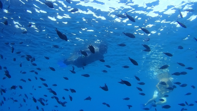  Snorkeling in natural areas 