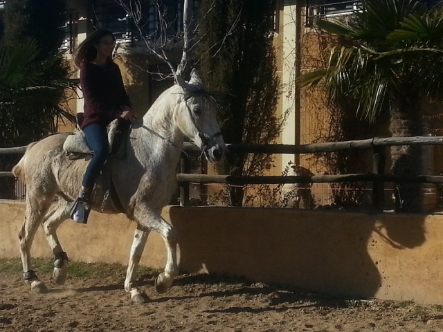  Cavalo junto à parede 
