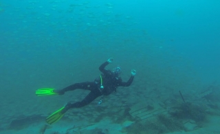 Blue Water Diving
