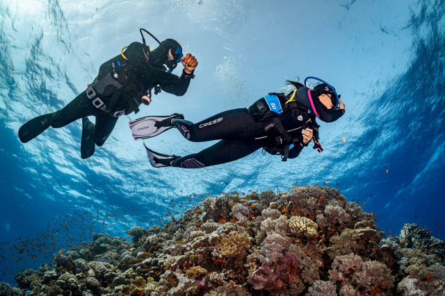  Goditi un tuffo nell'Atlantico 