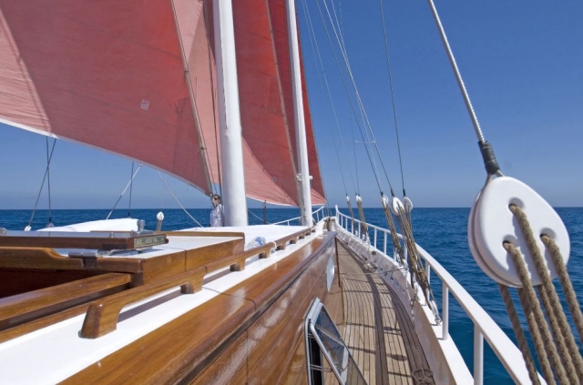 disfruta de las vistas