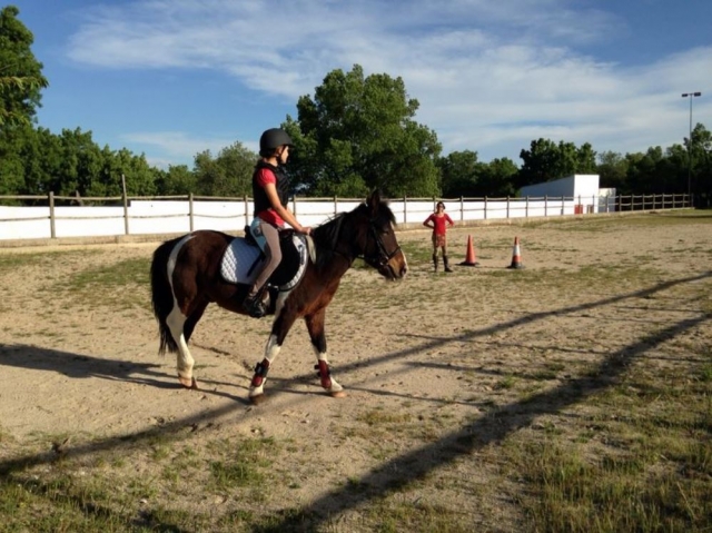 Clases hipicas en pista
