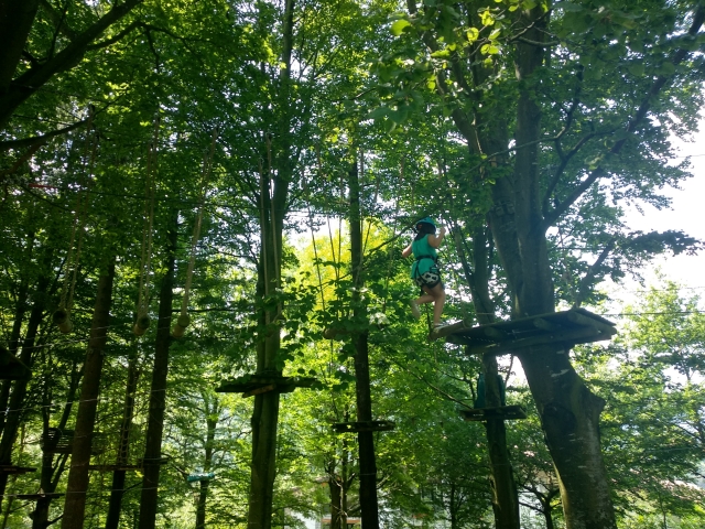 Tirolinas en medio del bosque
