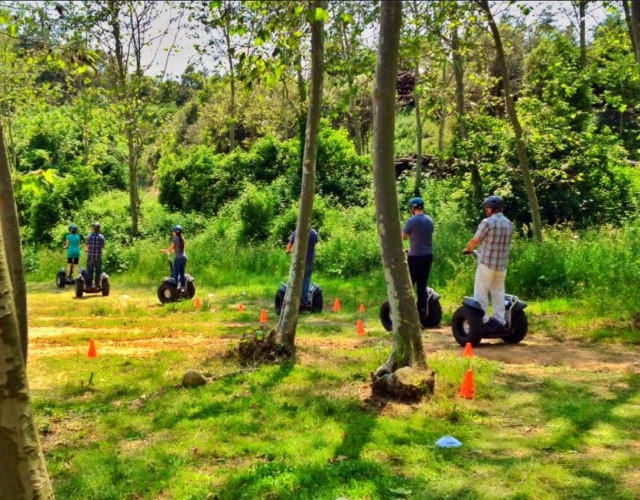 Segways entre los arboles