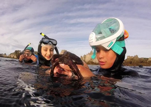  Descobrir polvos no mar 