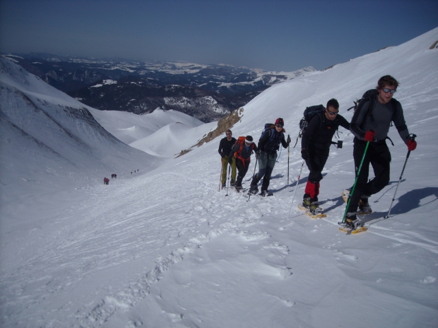 ascends through the snow 