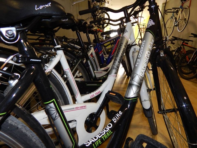Flota de bicicletas de Sadesgo