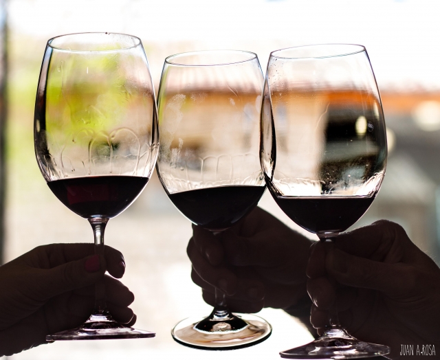 catas de vino